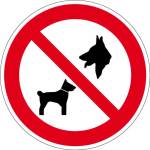 Verbotszeichen - Hunde verboten